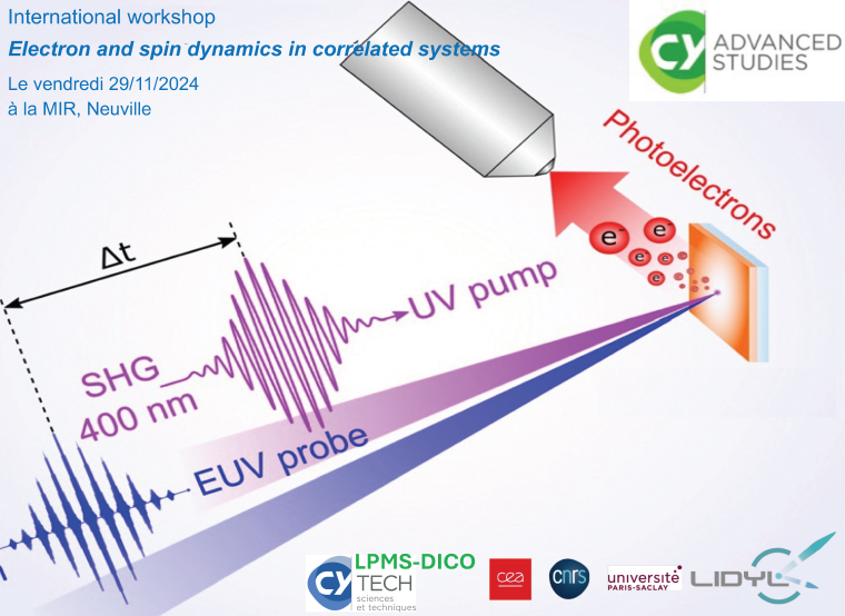 Electron and spin dynamics in correlated systems