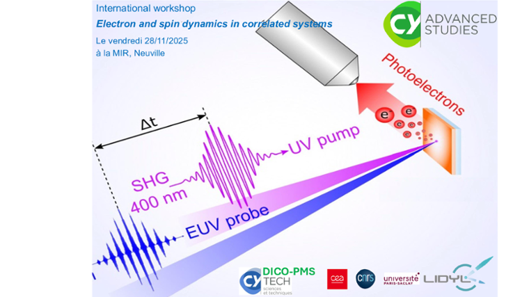 Electron and spin dynamics in correlated systems
