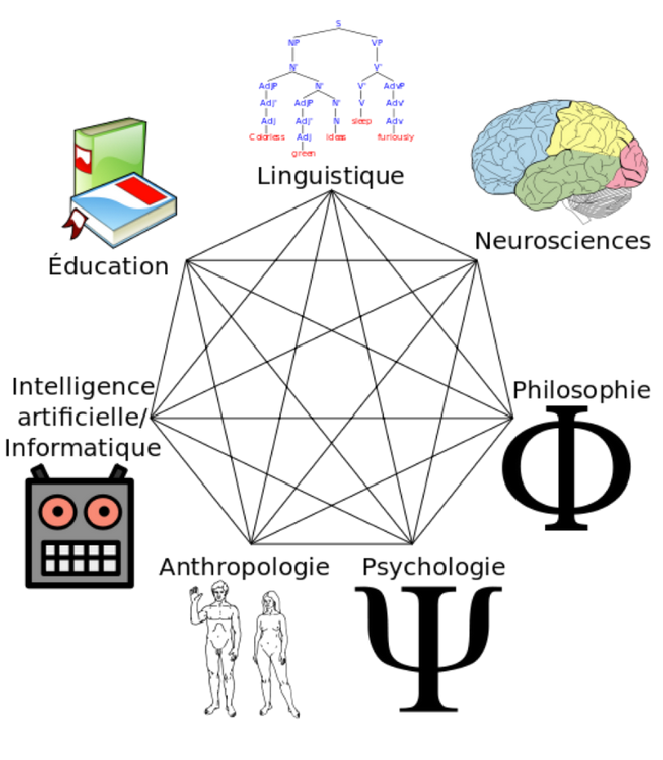 CY Cognition