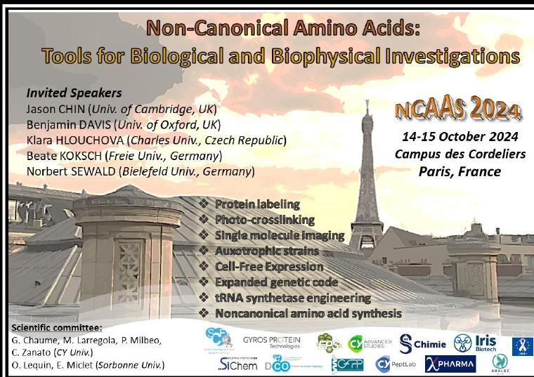 Non-canonical Amino Acids: Tools for Biolological and Biophysical Investigations